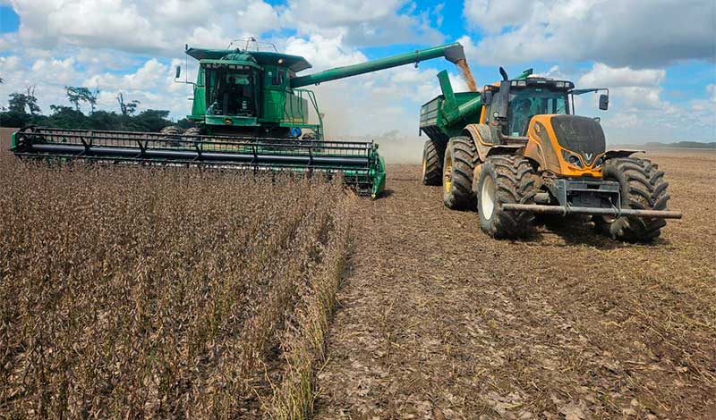 El Gobierno cede ante los soyeros y autoriza la exportación de 880 mil toneladas para frenar la crisis