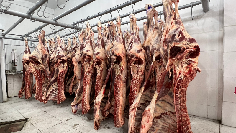 Bolivia registra en 2023 pico histórico de producción de carne bovina con 244.019 toneladas