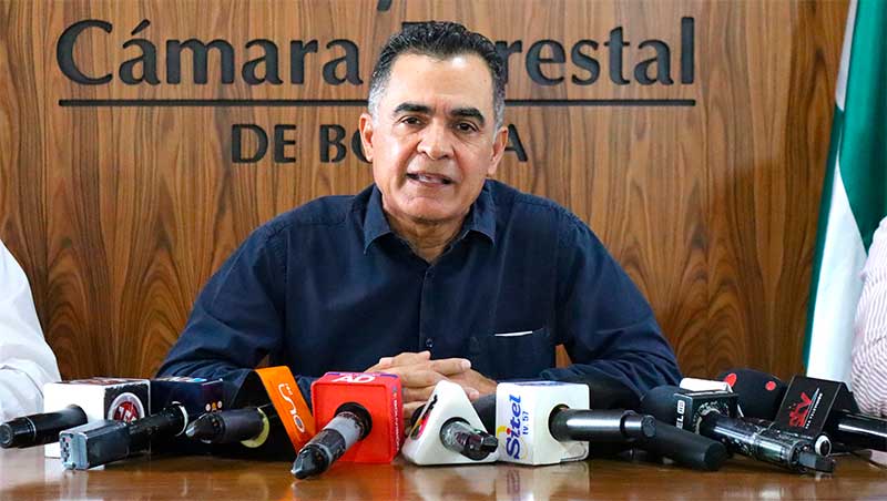 Resultados eximen al sector forestal de sustancias controladas