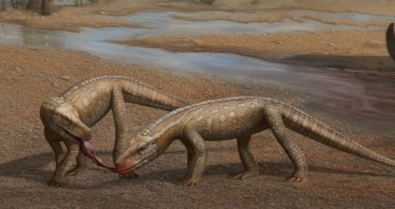 Descubren en Brasil un pequeño reptil depredador del Triásico parecido al cocodrilo